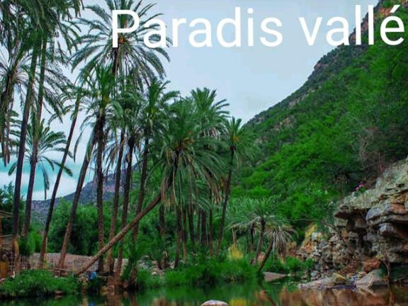 Residence Tafoult Imiouadar Pres De Taghazout Agadir Agadir n'Ait Sa Eksteriør billede